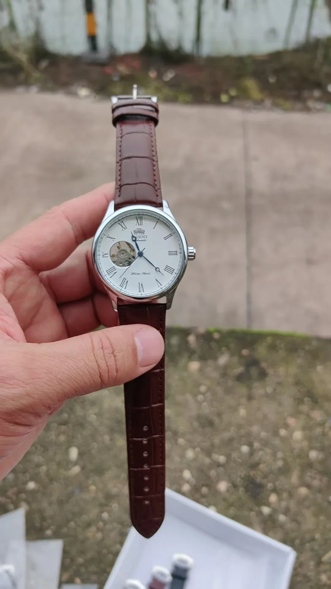 DFDG Mechanical Skeleton Watch - đánh giá và giá Seiko Watch Presage