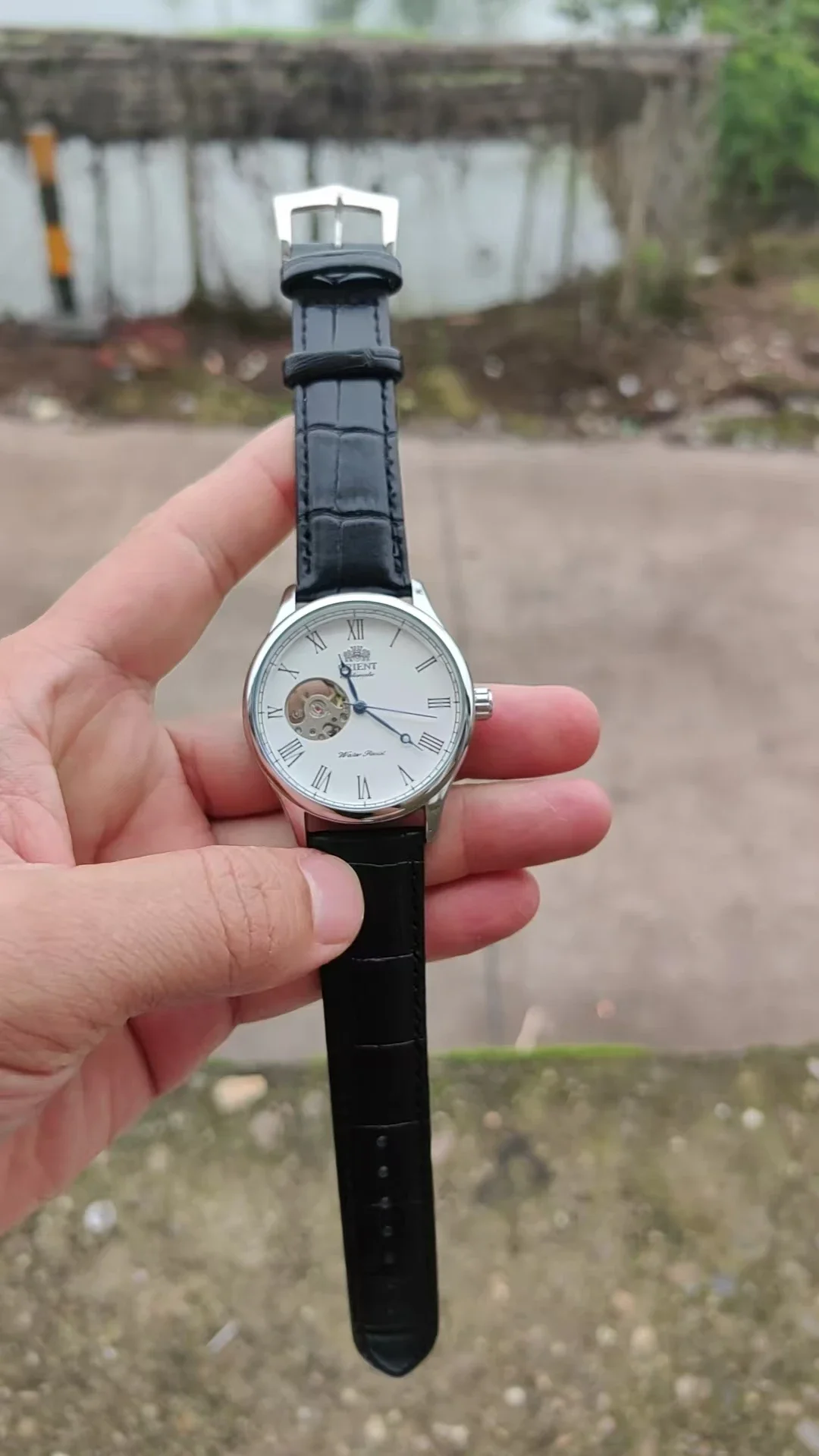 DFDG Mechanical Skeleton Watch - đánh giá và giá Seiko Watch Presage